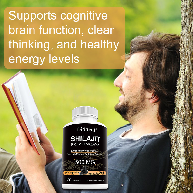 Himalaya Shilajit & Ginseng Ca - Herbal Wellness Formula recensie en prijs