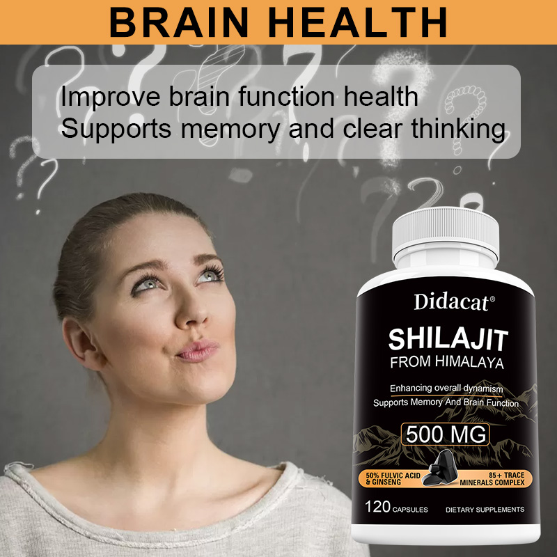 Himalaya Shilajit & Ginseng Ca - Herbal Wellness Formula recensie en prijs